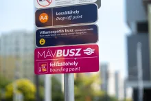 Mávbusz