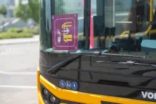 Mávbusz